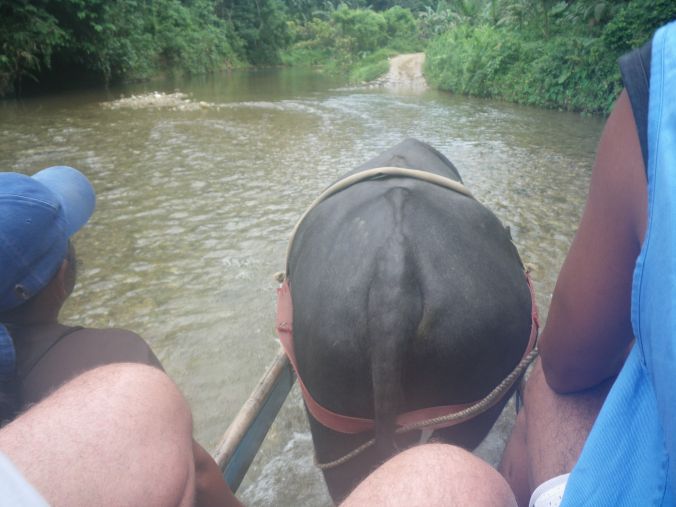 Latham coco beach 051