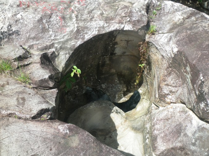 Latham coco beach 068