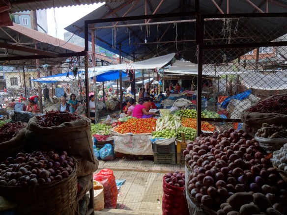 kalimati wholesale market