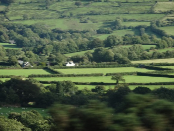 Devon Farmland