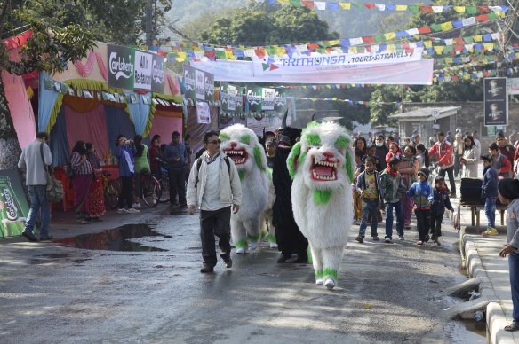 Pokhara Street Festival