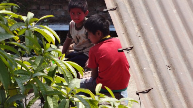 This little guy was hidden on a roof, waiting for his next victim.  Little did he know I was watching him!