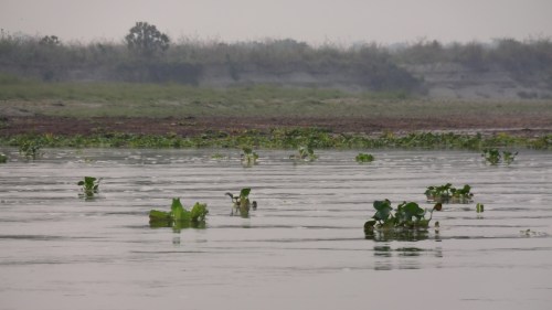chitwan national park