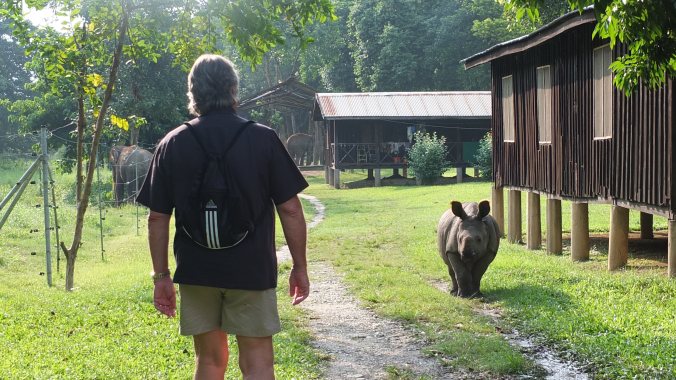 baby rhino chitwan