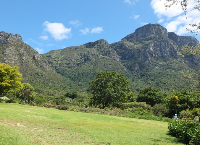 Kirstenbosch botanical gardens
